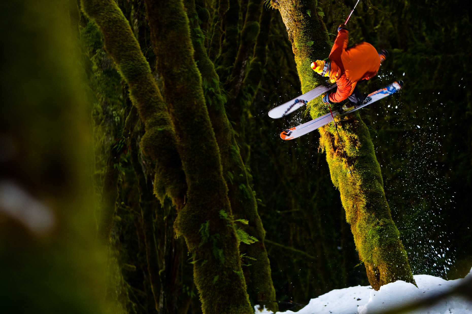 Zack Giffin, Skiing Rainforest, 018_200901111379
