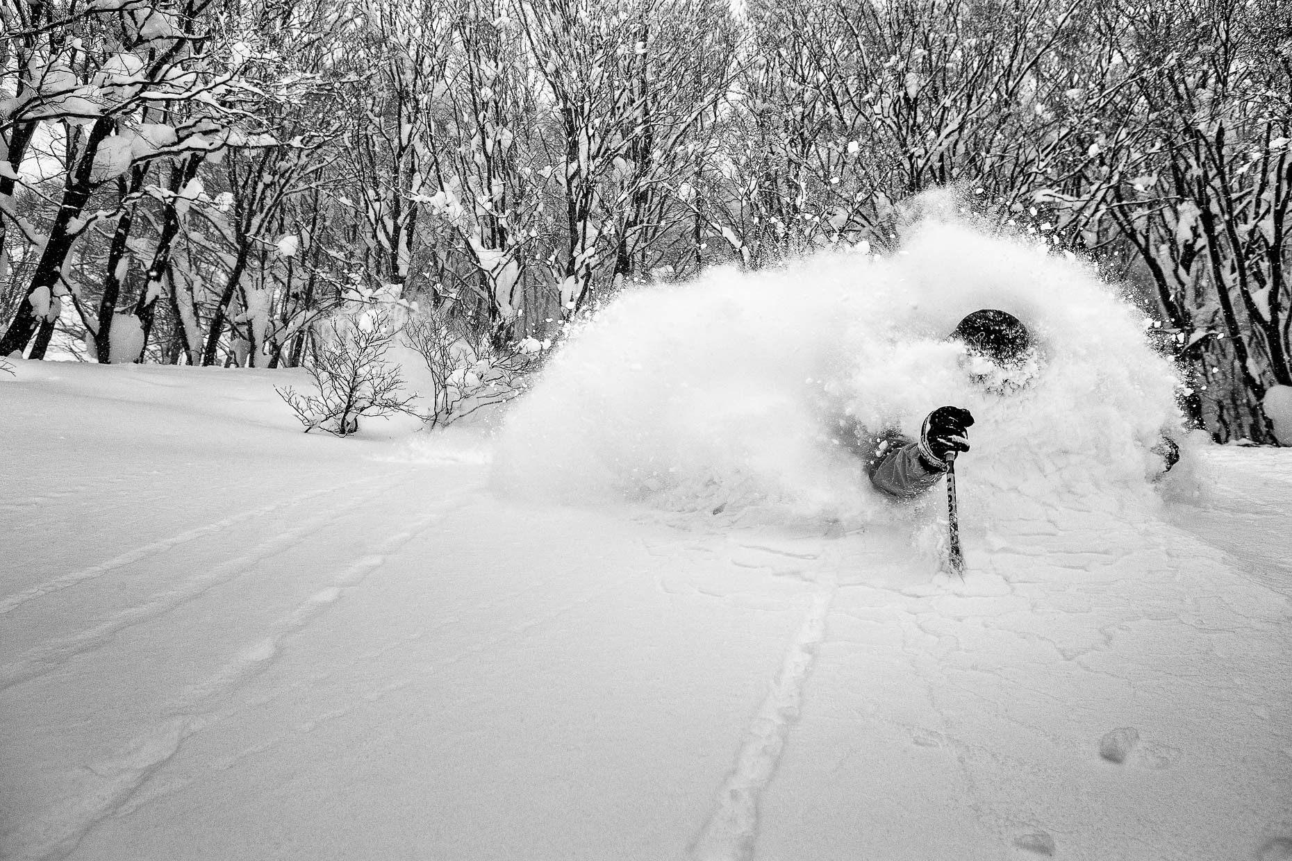 Adam U, Powder, Japan 059_20130117549-Edit