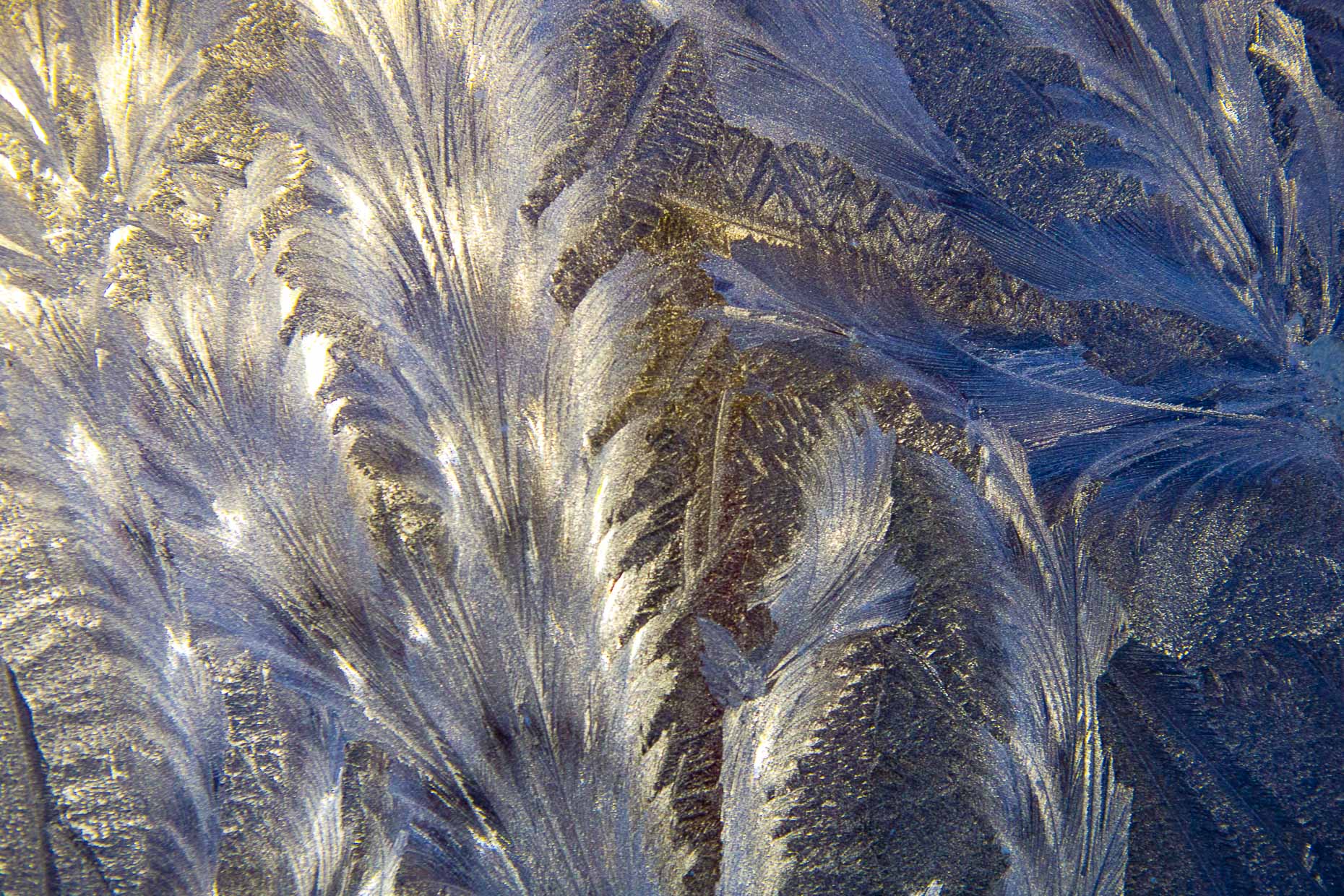 Ice Crystals, 024_201301177462